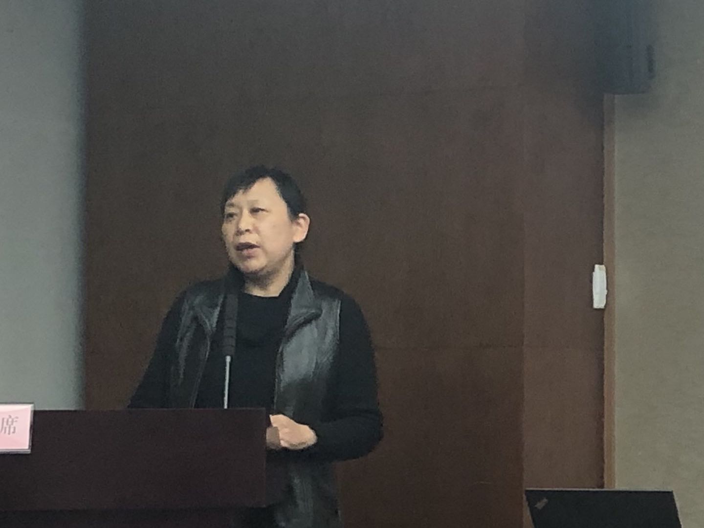 王莉副秘书长讲话.jpg